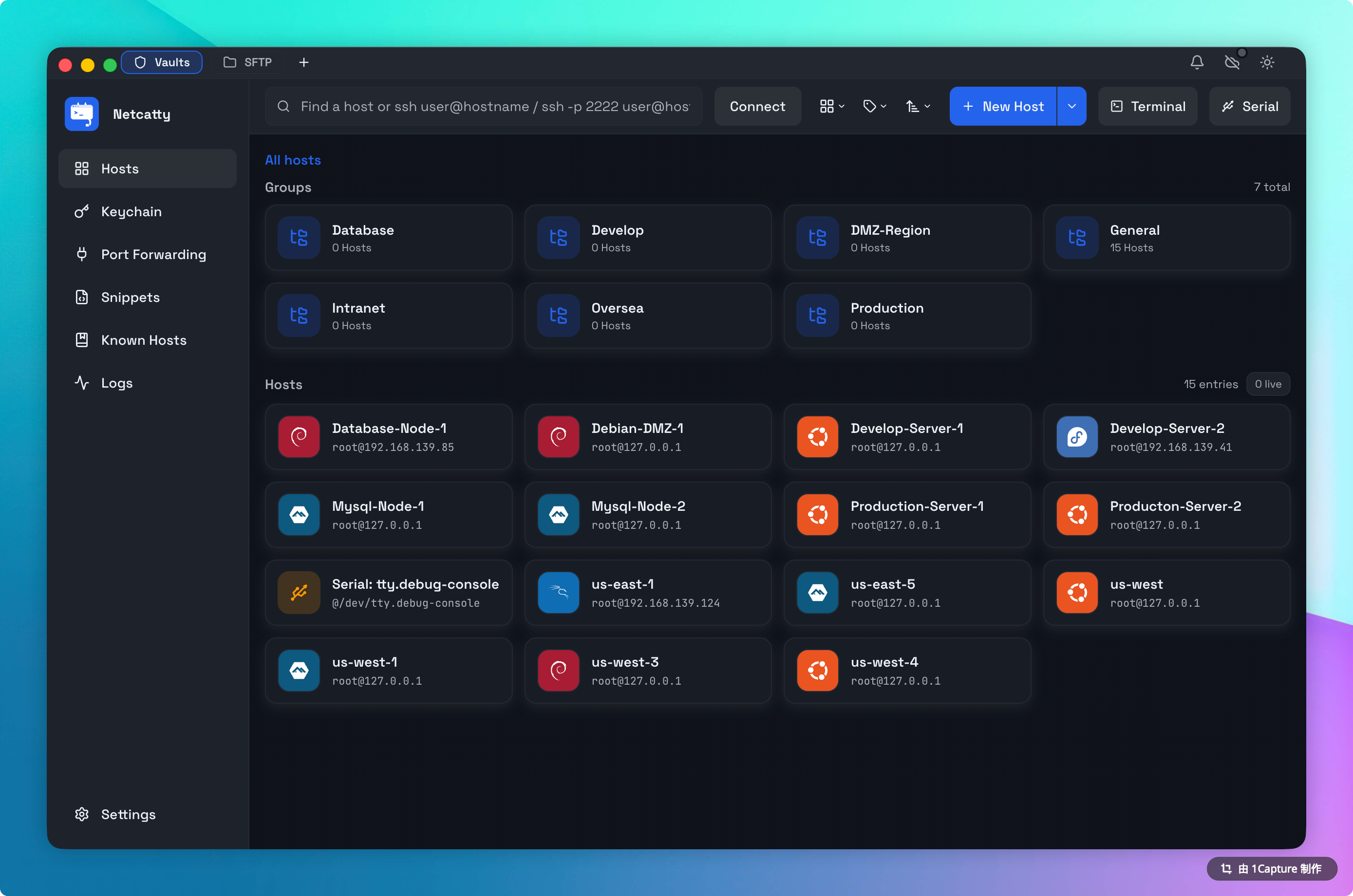 Netcatty 保险库网格视图展示多种操作系统图标