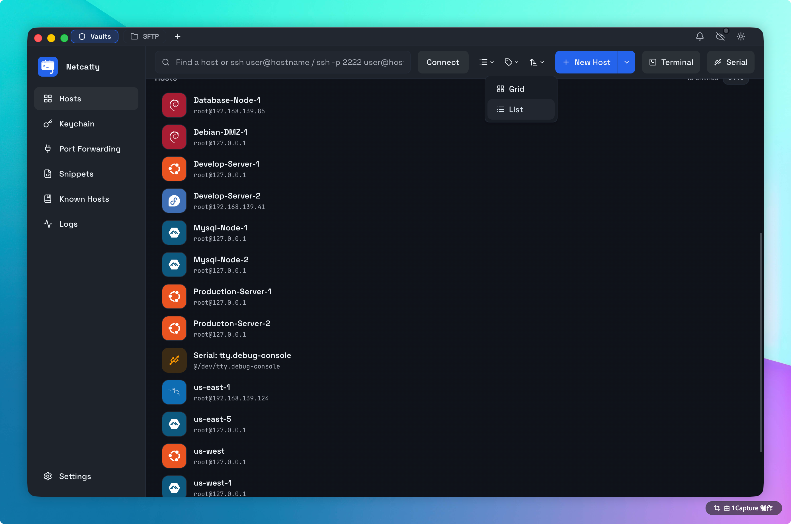 Netcatty 保险库列表视图表格